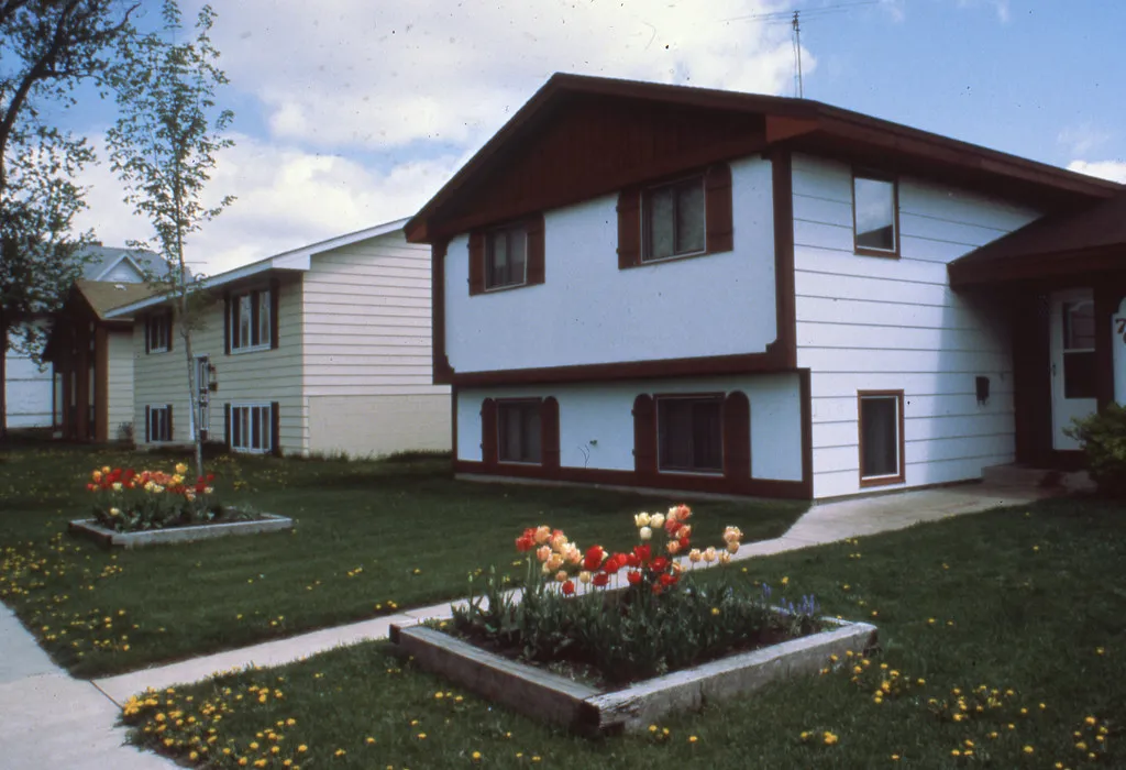 Casa en renta en Álamos, dos recámaras y patio — foto 3