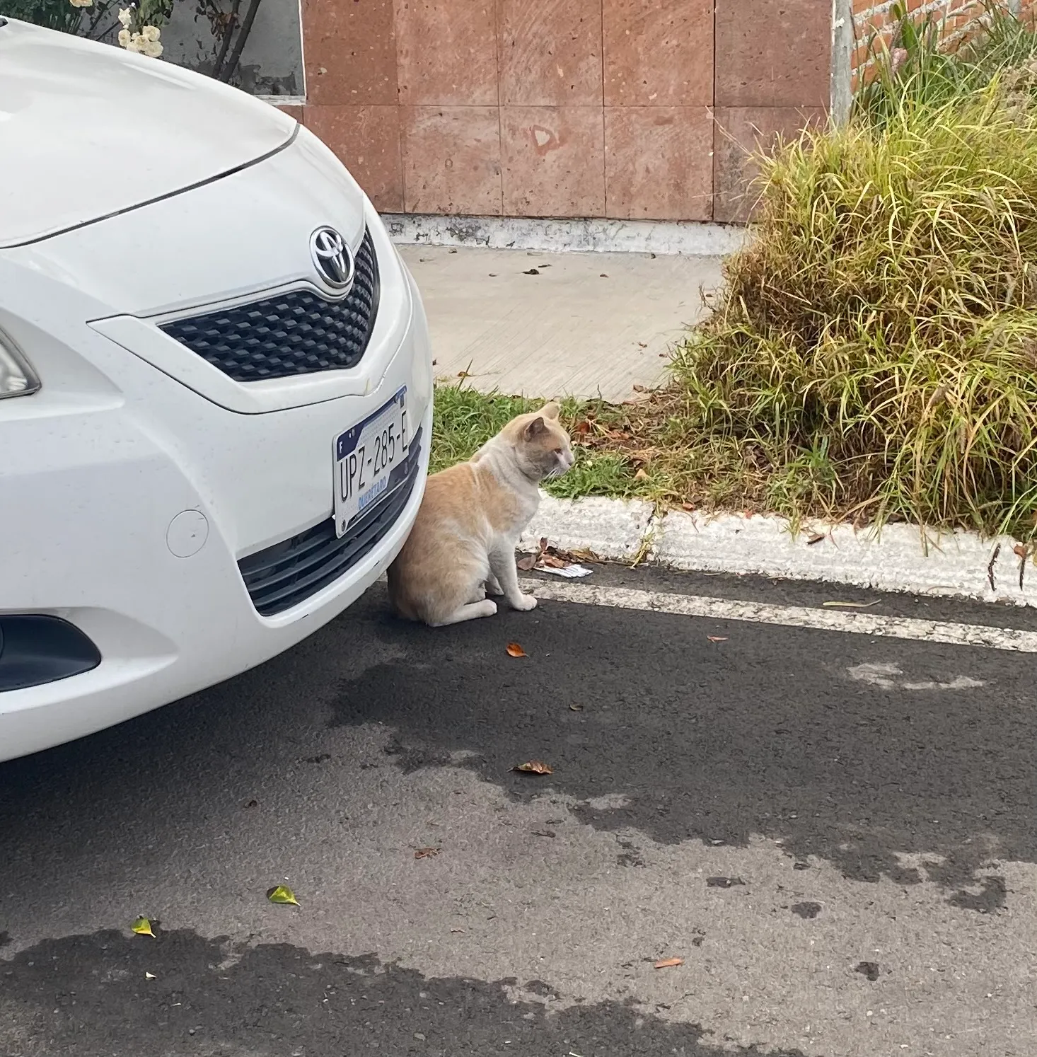 Hermosa casa en Lomas de juriquilla, todos los servicios y todas las amenidades — foto 3